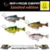 Savage Gear 4D Line Thru Pulse Tail Roach 21 Cm | Firetiger 1 Savage Gear 4D Line Thru Pulse Tail Roach 21 Cm | Firetiger -Kortingswinkel Voor Visuitrusting 0e66c266e20a366dc7420fe463a441f3