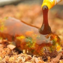 Korda GOO | Orange -Kortingswinkel Voor Visuitrusting 31d4014d4034df059231fed4b88a93d2