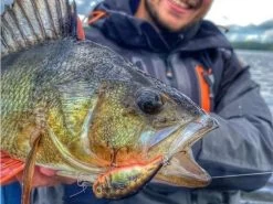 Savage Gear 3D Goby Crank SR 5 Cm | Blue Silver 9 Savage Gear 3D Goby Crank SR 5 Cm | Blue Silver -Kortingswinkel Voor Visuitrusting 38928164a3e23d5f6fcca8de3d6e47d9