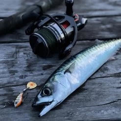 Savage Gear SG8 4000H FD -Kortingswinkel Voor Visuitrusting 57f6e0892094bde2d83d2785ebe5d7c7