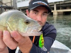 Savage Gear 3D Goby Crank SR 5 Cm | Blue Silver 8 Savage Gear 3D Goby Crank SR 5 Cm | Blue Silver -Kortingswinkel Voor Visuitrusting 6d2e890a8f021cd2117609f92c560ff4