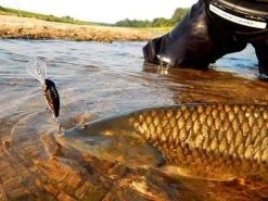 Savage Gear 3D Goby Crank SR 5 Cm | Blue Silver 10 Savage Gear 3D Goby Crank SR 5 Cm | Blue Silver -Kortingswinkel Voor Visuitrusting af15440ccd6cd2ad94877e5c0e09b420