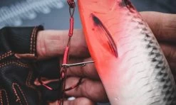 Savage Gear Punch Rig Heads | 5 Gram (3pcs) 16 Savage Gear Punch Rig Heads | 5 Gram (3pcs) -Kortingswinkel Voor Visuitrusting b615045ff511e0bd63e0cacd7d139e1c