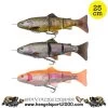 Savage Gear 4D Line Thru Trout 25 Cm | Rainbow SS -Kortingswinkel Voor Visuitrusting bc220db705c3be75d7639e84fc3f7c4c