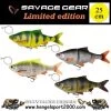 Savage Gear 4D Line Thru Roach 25 Cm | Perch -Kortingswinkel Voor Visuitrusting bfe94b5b05f1c48de02ce2225808b631