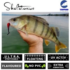 Toppies Fishing Skeletonius Shad 7cm | Blue Limey -Kortingswinkel Voor Visuitrusting c972009ba03c61464162bbe348a4e461