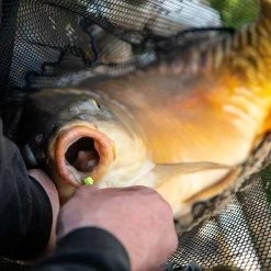 Fjuka Carpos Mixed Colors 11mm -Kortingswinkel Voor Visuitrusting d51a06a1658fca0c97a276c1b52eff25