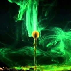 Korda GOO | Orange -Kortingswinkel Voor Visuitrusting e75d8cb5feeebd40c7b33d9256edef0c